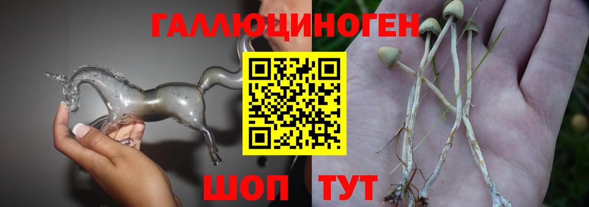 Псилоцибиновые грибы мицелий Сыктывкар